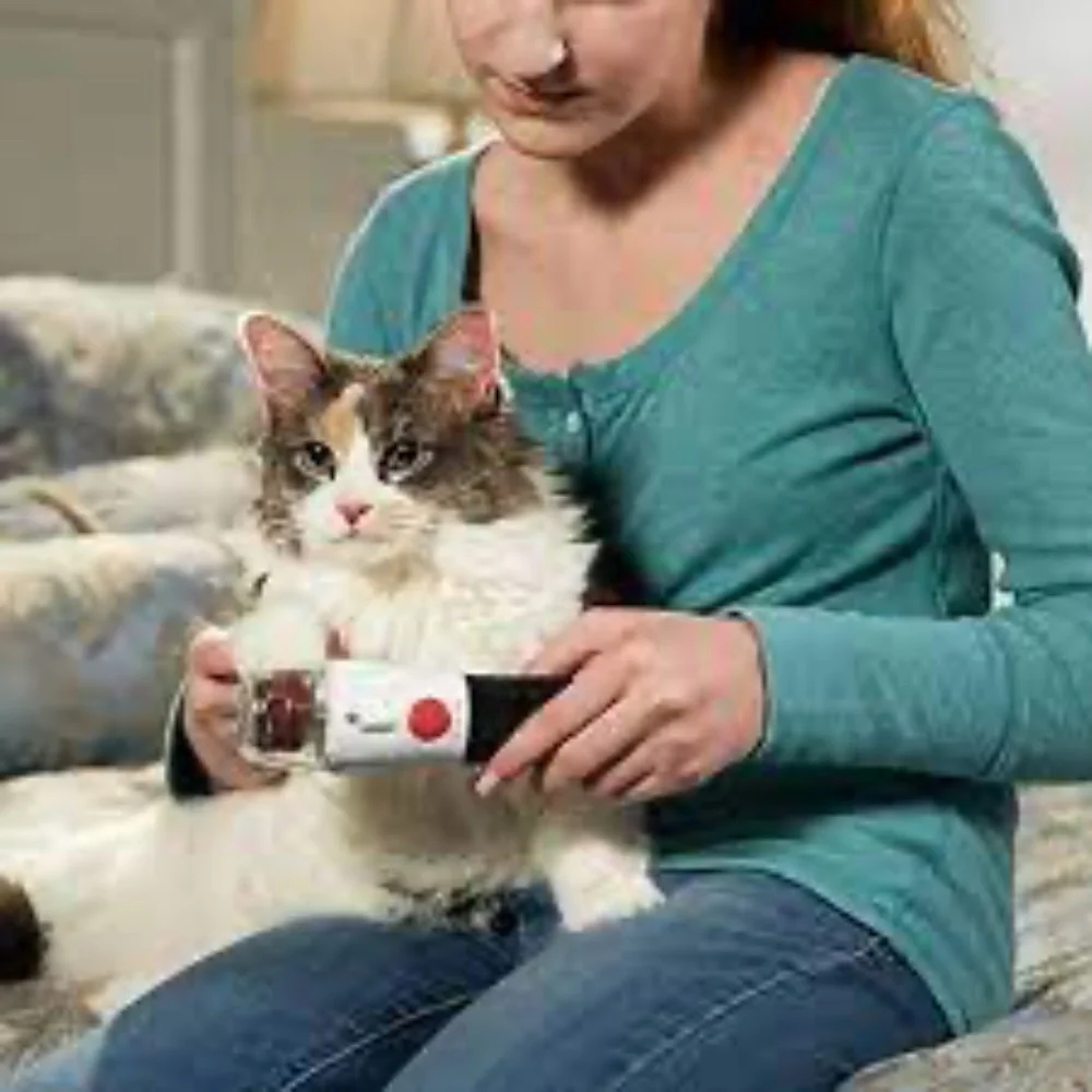 Paw Perfect,